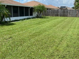 1 Durham Nc Lawn Care Service Lawn Mowing From 19 Best 2020