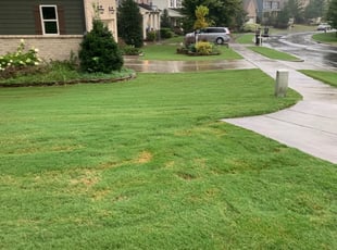 1 Durham Nc Lawn Care Service Lawn Mowing From 19 Best 2020