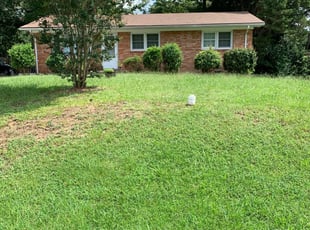 1 Durham Nc Lawn Care Service Lawn Mowing From 19 Best 2020
