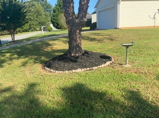 1 Easley Sc Lawn Care Service Lawn Mowing From 19 Best 2020