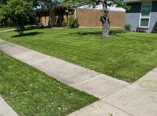 1 East Amherst Ny Lawn Care Service Lawn Mowing From 19 Best 2020