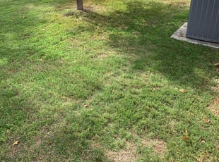 East Greenwich Ri Lawn Care Service Lawn Mowing From 19 Rated Best 2020
