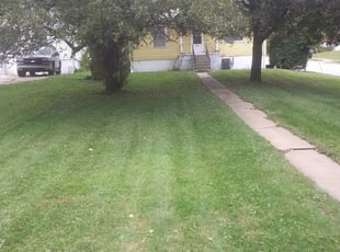 1 East Providence Ri Lawn Care Service Lawn Mowing From 19 Best 2020