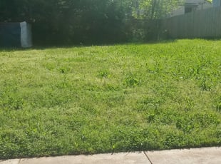 1 East Providence Ri Lawn Care Service Lawn Mowing From 19 Best 2020