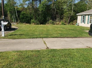 1 East Providence Ri Lawn Care Service Lawn Mowing From 19 Best 2020