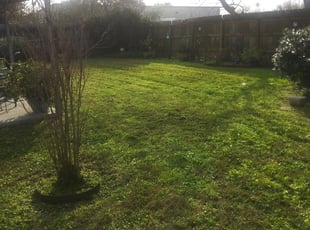 1 Eastpointe Mi Lawn Care Service Lawn Mowing From 19 Best 2020