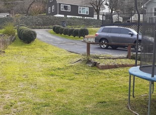 1 Eastpointe Mi Lawn Care Service Lawn Mowing From 19 Best 2020