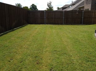 1 Eastpointe Mi Lawn Care Service Lawn Mowing From 19 Best 2020