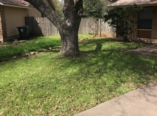 1 Edinburg Tx Lawn Care Service Lawn Mowing From 19 Best 2020