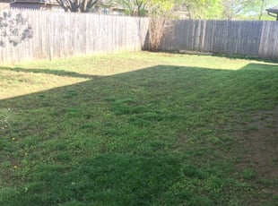 1 Edmond Ok Lawn Care Service Lawn Mowing From 19 Best 2020