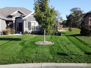 1 Elgin Il Lawn Care Service Lawn Mowing From 19 Best 2020