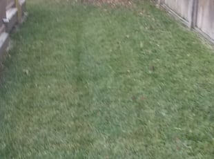 Elgin Sc Lawn Care Service Lawn Mowing From 19 Rated Best 2020