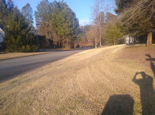 Elgin Sc Lawn Care Service Lawn Mowing From 19 Rated Best 2020