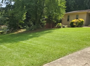 Ellenwood Ga Lawn Care Service Lawn Mowing From 19 Rated Best 2020