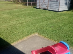 1 Elyria Oh Lawn Care Service Lawn Mowing From 19 Best 2020