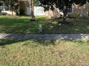 1 Elyria Oh Lawn Care Service Lawn Mowing From 19 Best 2020
