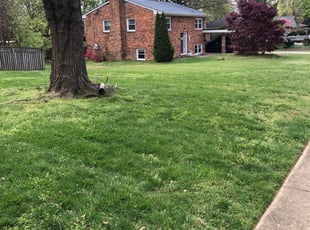1 Englewood Co Lawn Care Service Lawn Mowing From 19 Best 2020