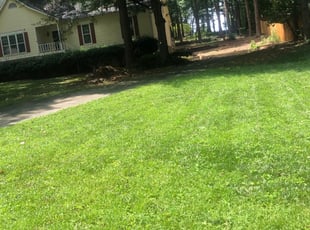 1 Englewood Co Lawn Care Service Lawn Mowing From 19 Best 2020