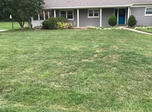 1 Englewood Co Lawn Care Service Lawn Mowing From 19 Best 2020