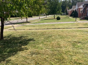 1 Euclid Oh Lawn Care Service Lawn Mowing From 19 Best 2020