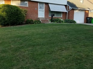 1 Euclid Oh Lawn Care Service Lawn Mowing From 19 Best 2020