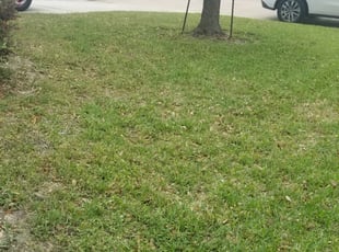 Eustis Fl Lawn Care Service Lawn Mowing From 19 Rated Best 2020