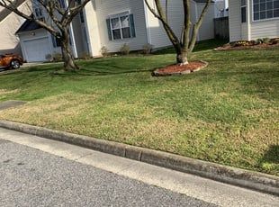 Everett Wa Lawn Care Service Lawn Mowing From 19 Rated Best 2020