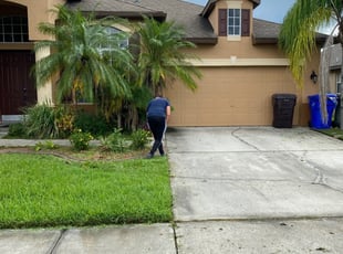 1 Evergreen Co Lawn Care Service Lawn Mowing From 19 Best 2020