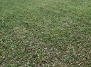 Fairburn Ga Lawn Care Service Lawn Mowing From 19 Rated Best 2020