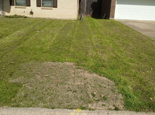 1 Fairfield Ct Lawn Care Service Lawn Mowing From 19 Best 2020