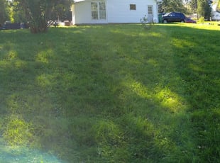 1 Fairport Ny Lawn Care Service Lawn Mowing From 19 Best 2020