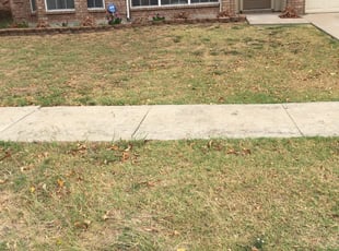 Taylor Exterminating Inc Reviews Ratings Pest Control Near 1822 Highway 85 S Fayetteville Ga