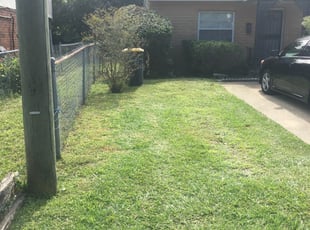 Fayetteville Ny Lawn Care Service Lawn Mowing From 19 Rated Best 2020