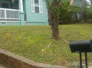 Fayetteville Ny Lawn Care Service Lawn Mowing From 19 Rated Best 2020