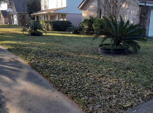 1 Feasterville Trevose Pa Lawn Care Service Lawn Mowing From 19 Best 2020