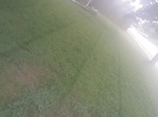1 Fernandina Beach Fl Lawn Care Service Lawn Mowing From 19 Best 2020