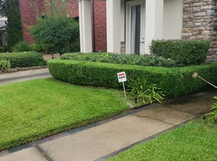 #1 Flint, MI Lawn Care Service | Lawn Mowing from $19 ...