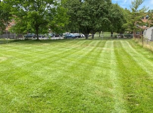 1 Forest Lake Mn Lawn Care Service Lawn Mowing From 19 Best 2020