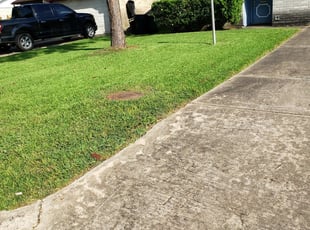 1 Fort Myers Fl Lawn Care Service Lawn Mowing From 19 Best 2020