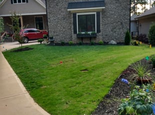 1 Fort Myers Fl Lawn Care Service Lawn Mowing From 19 Best 2020
