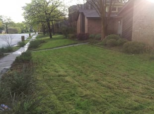Fort Thomas Ky Lawn Care Service Lawn Mowing From 19 Rated Best 2020