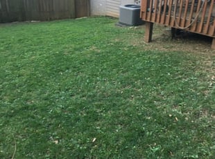 Fort Washington Md Lawn Care Service Lawn Mowing From 19 Rated Best 2020