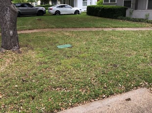5 Best Lawn Care Services In Fort Wayne In 2020 Lawnstarter