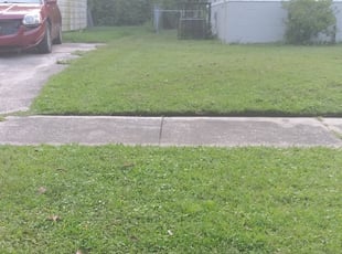 1 Fox Lake Il Lawn Care Service Lawn Mowing From 19 Best 2020