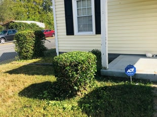 1 Frankfort Il Lawn Care Service Lawn Mowing From 19 Best 2020