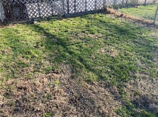 Franklin Tn Lawn Care Service Lawn Mowing From 19 Rated Best 2020