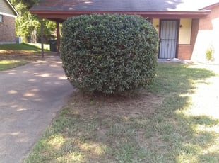 Frederick Md Landscaping From 29 1 Landscapers Best Of 2020