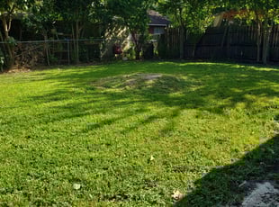 1 Fredericksburg Va Lawn Care Service Lawn Mowing From 19 Best 2020