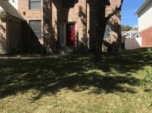 1 Fredericksburg Va Lawn Care Service Lawn Mowing From 19 Best 2020
