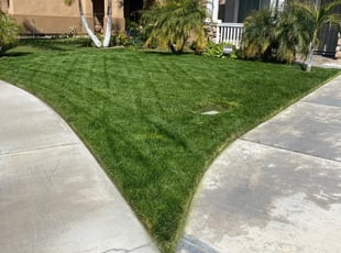 1 Fredericksburg Va Lawn Care Service Lawn Mowing From 19 Best 2020